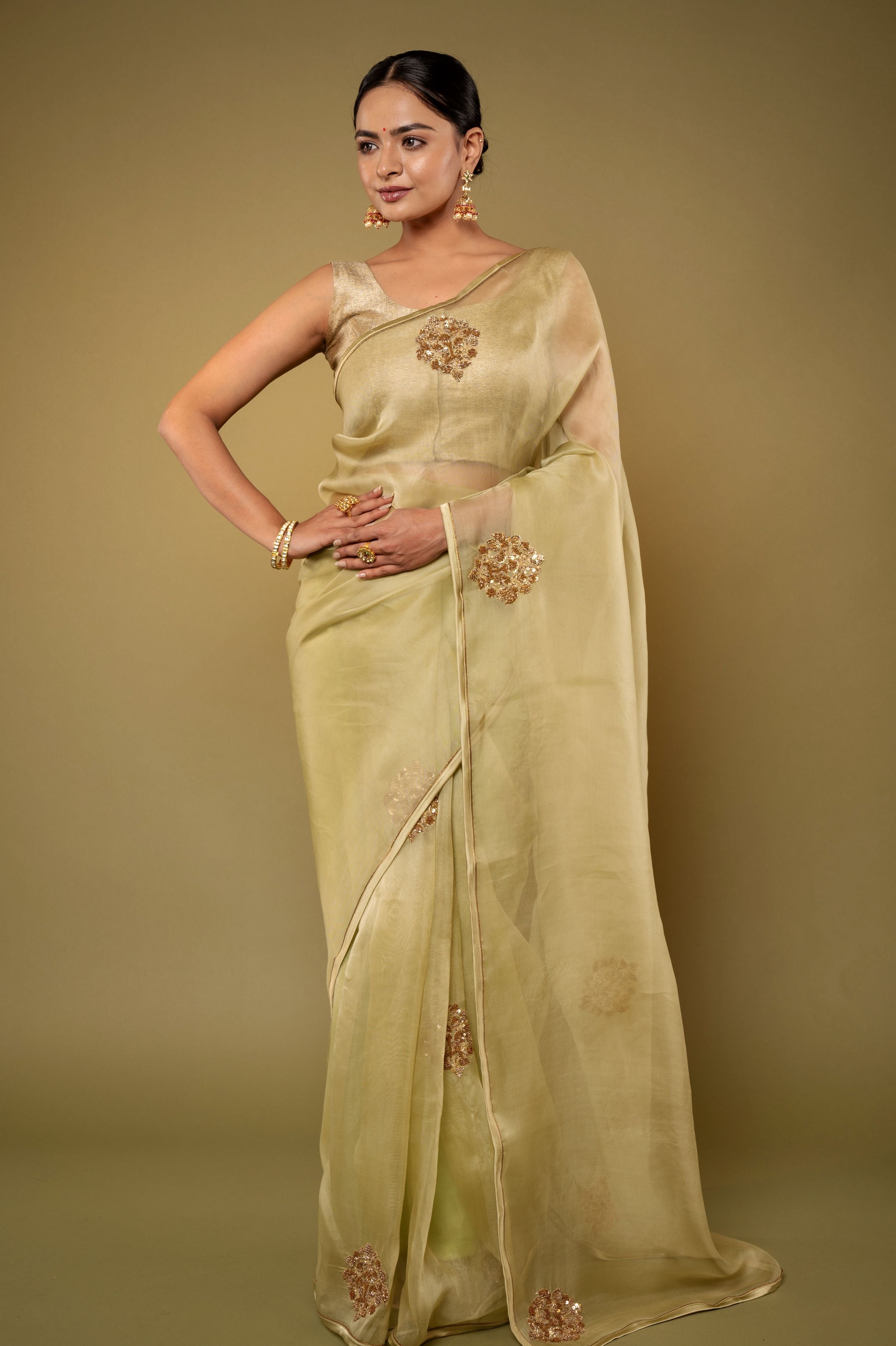 Pista Green Organza Zardozi Motif handwork saree