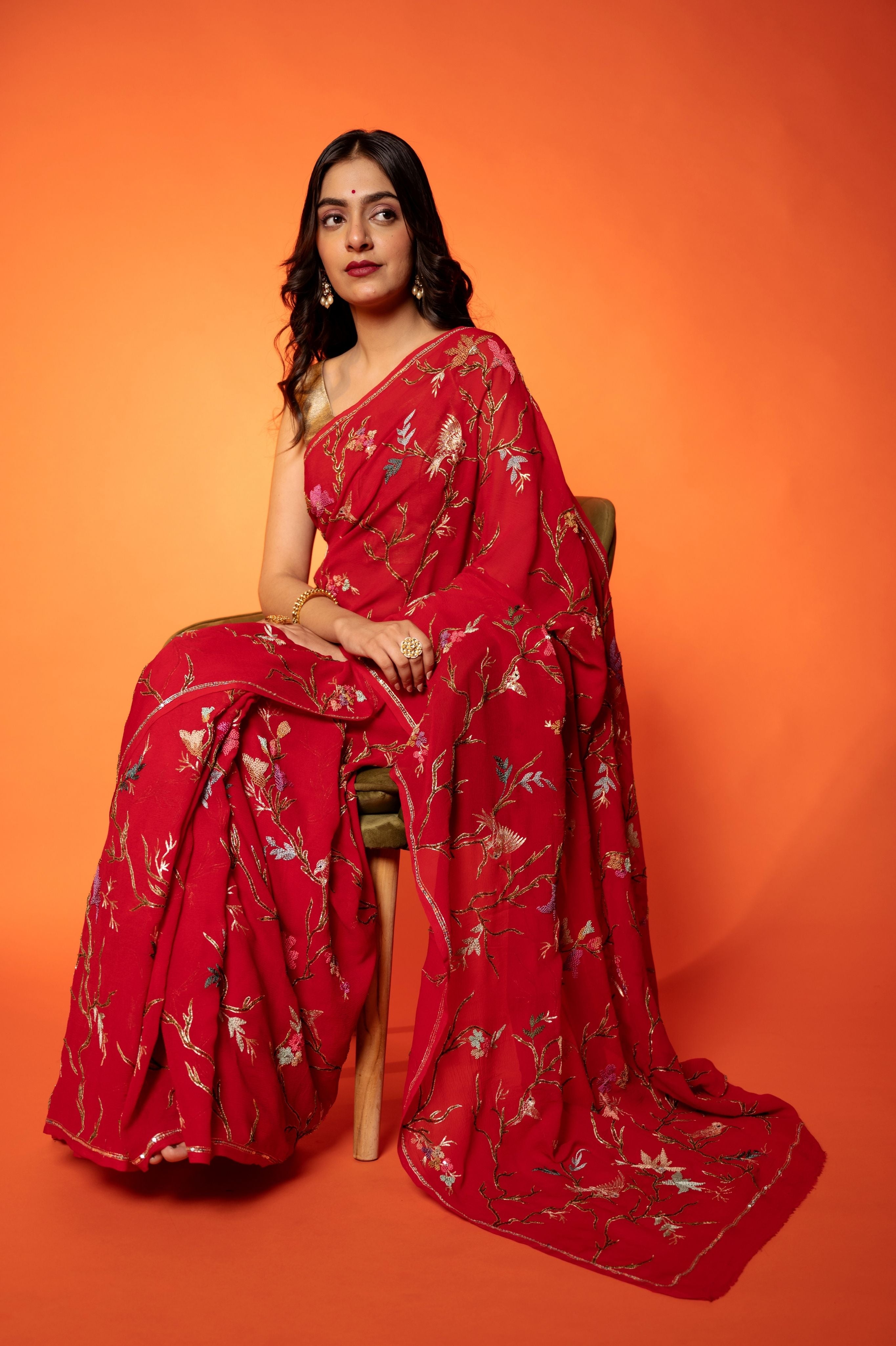 Red Pure Chiffon aari resham jaal handwork saree