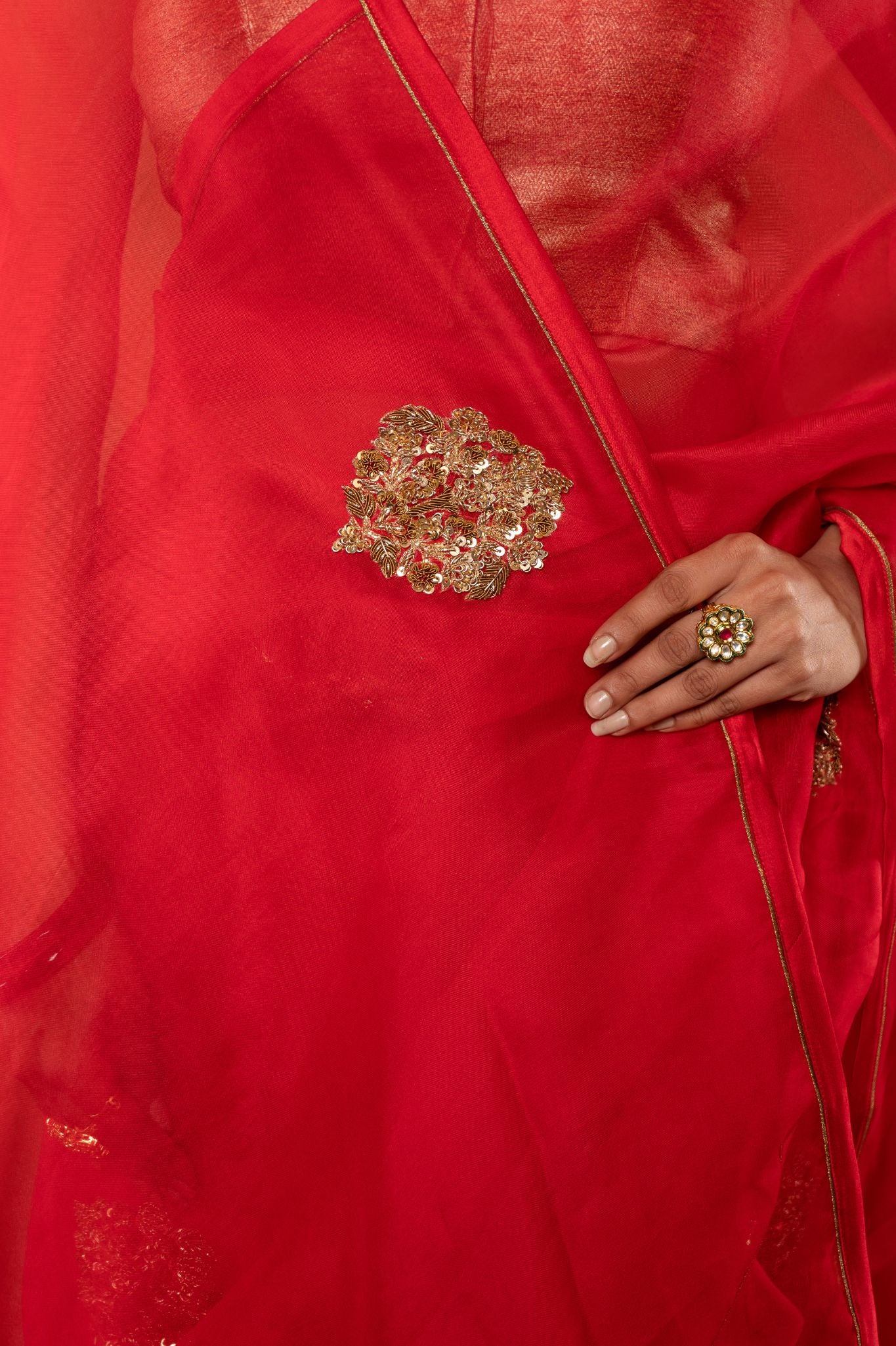 Red pure organza zardozi motif handwork saree
