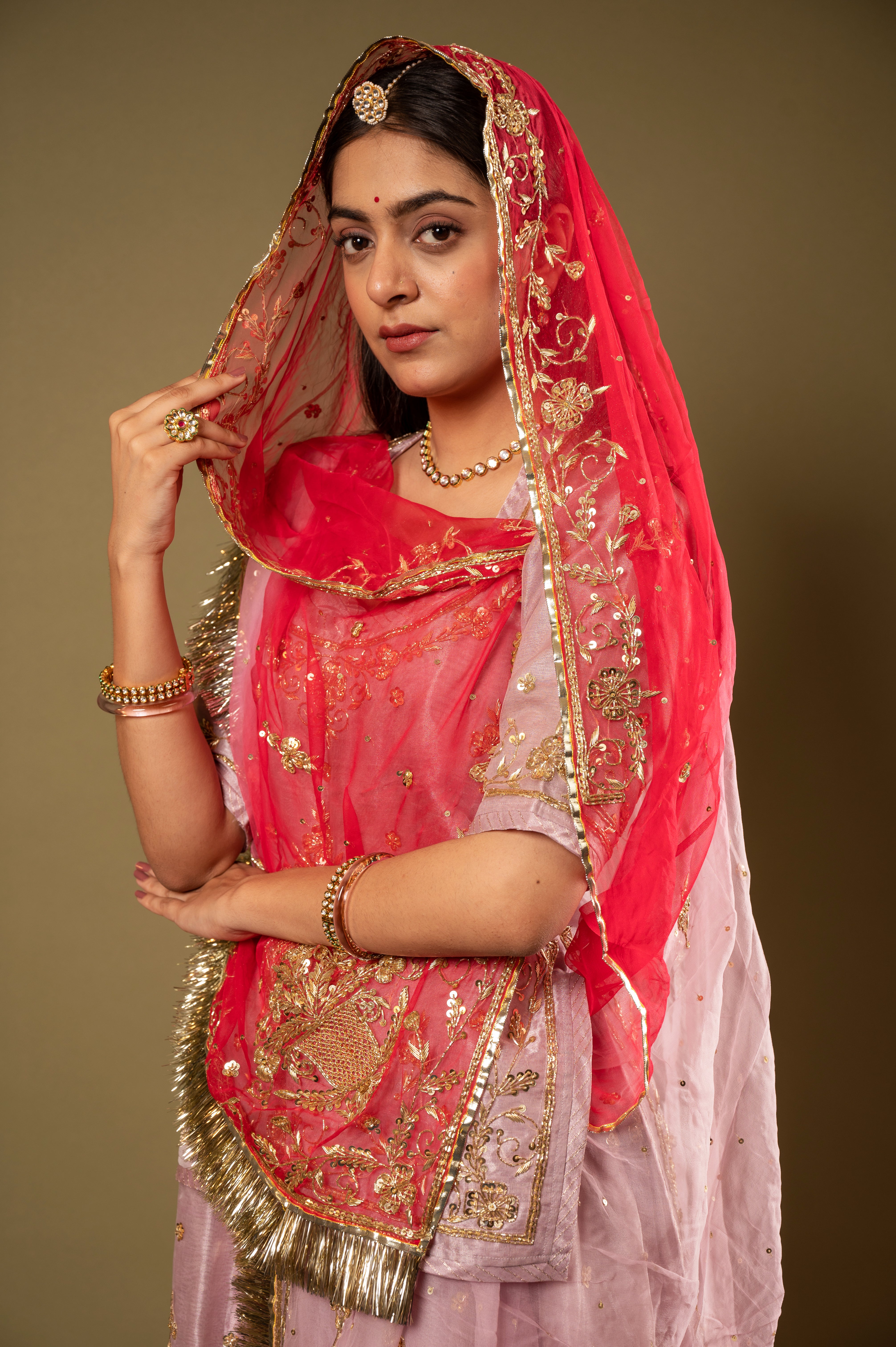 Pink Shaded Odhana Pure Tissue Zardozi Border butti handwork Rajputi Poshak with Pure odhna