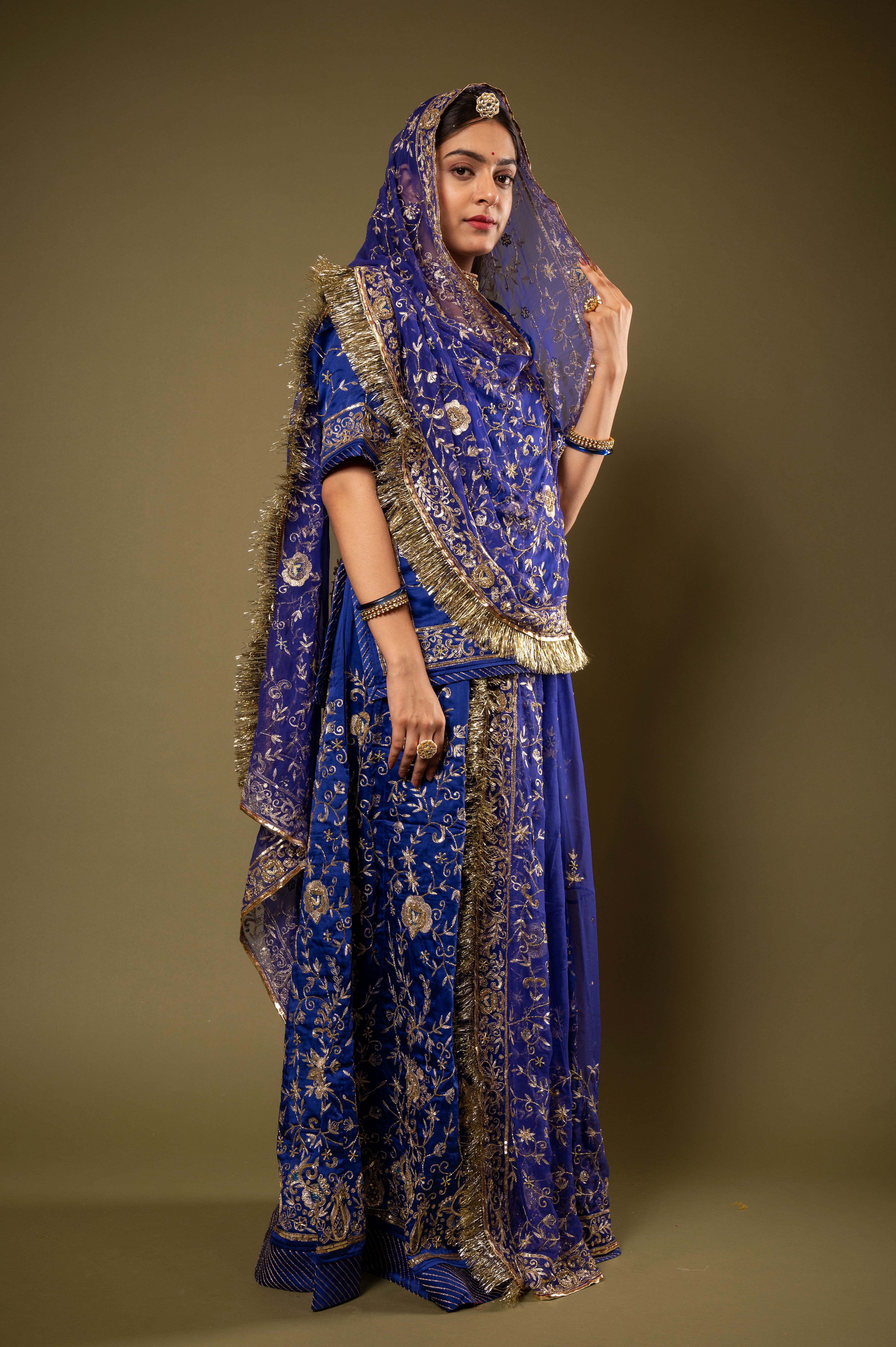 Blue light dark bamber satin Aari Kardana Sequins Jaal handwork Rajputi Poshak with Pure odhna