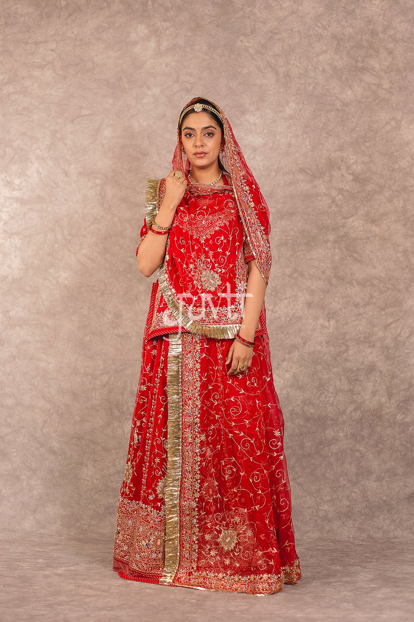 Red Pure Georgette Aari Zardosi Jaal Work Rajputi Poshak
