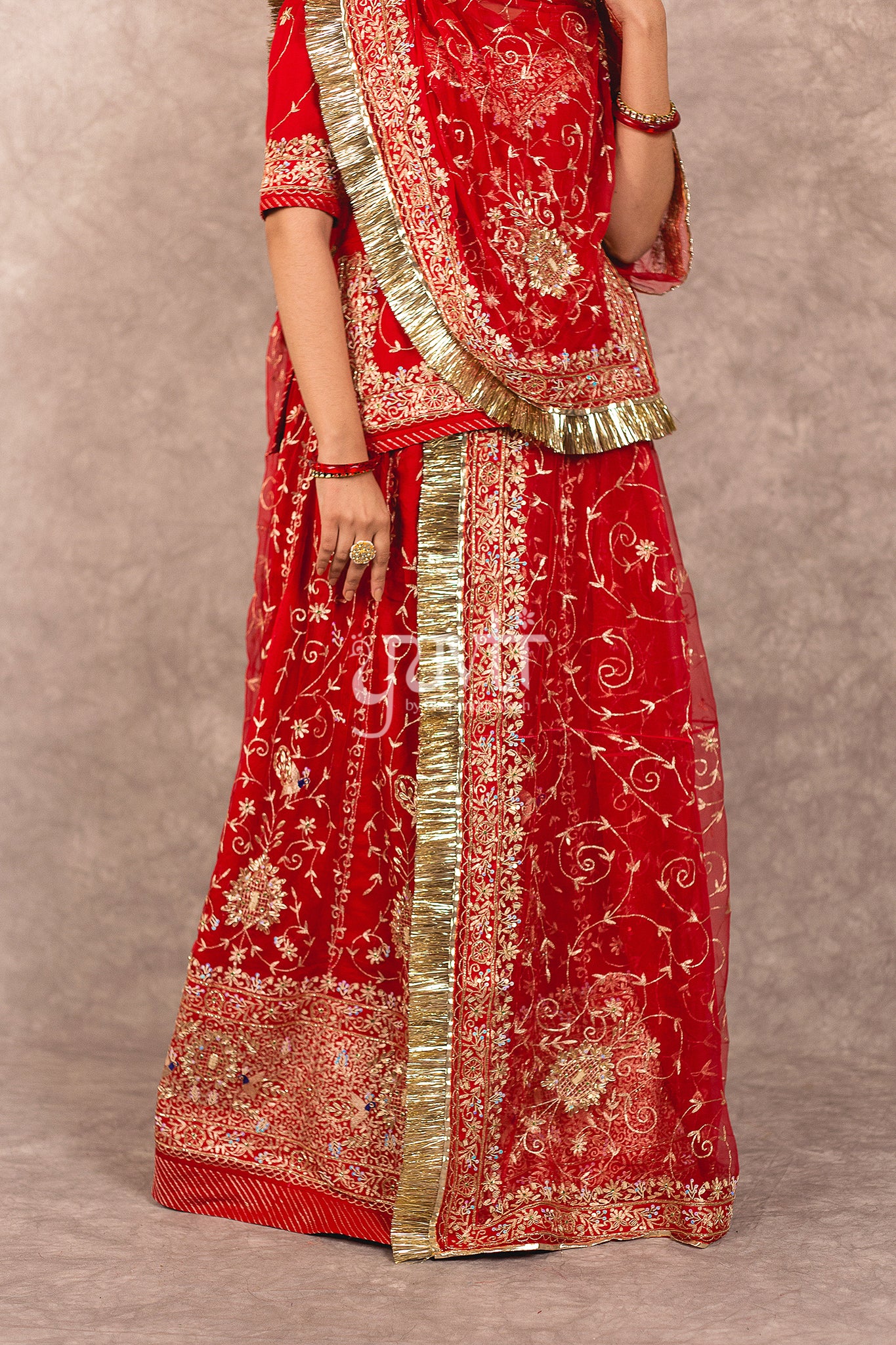 Red Pure Georgette Aari Zardosi Jaal Work Rajputi Poshak