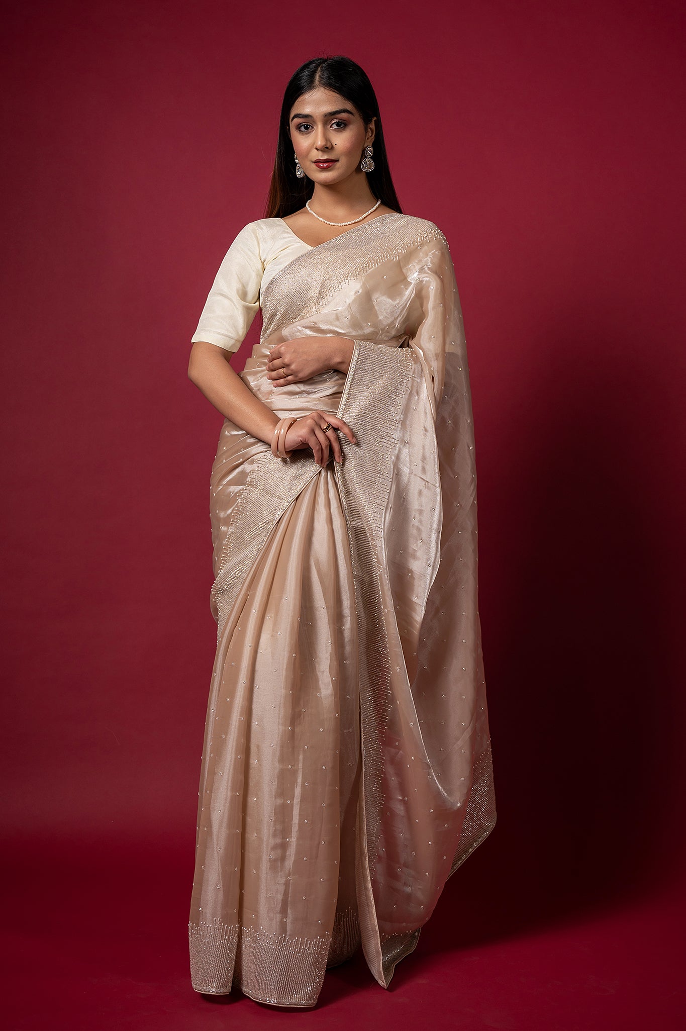 Light Chiku Jimmy Chu Kardana Pearl Border Booti Handwork Saree