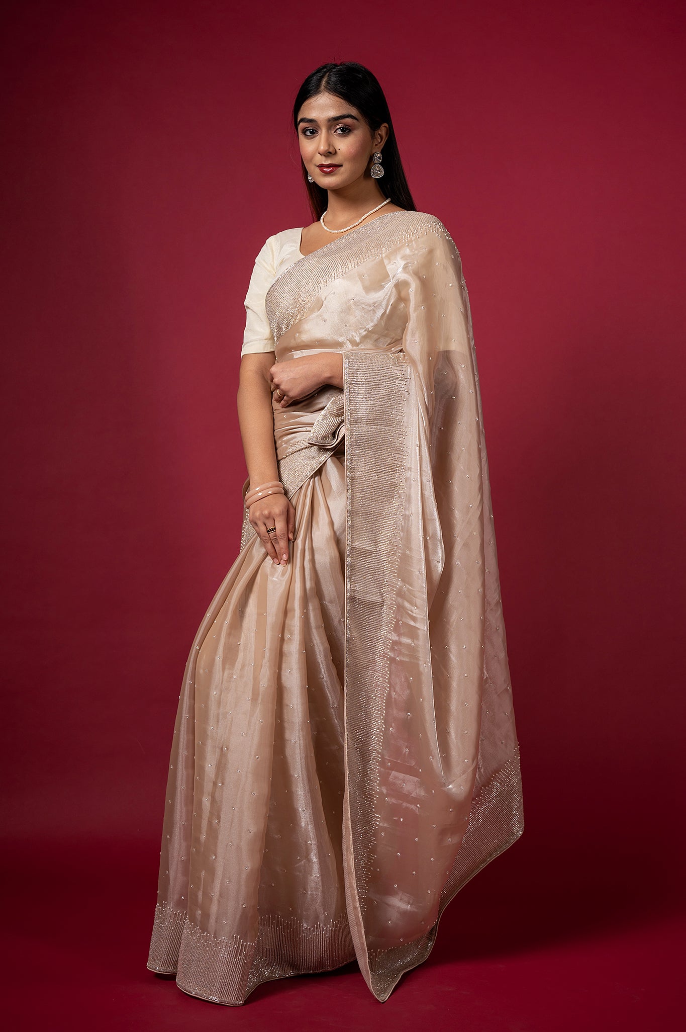 Light Chiku Jimmy Chu Kardana Pearl Border Booti Handwork Saree
