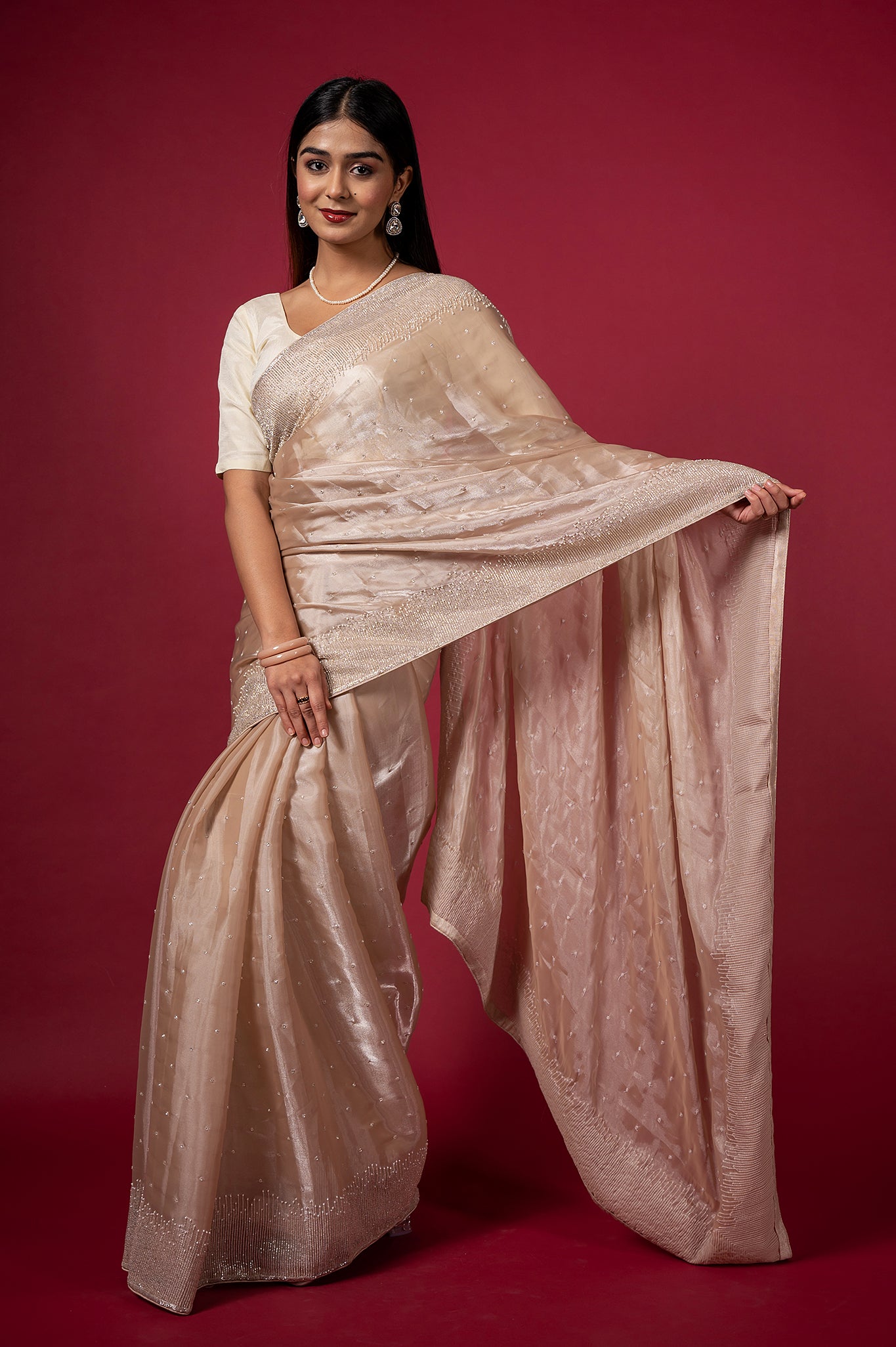 Light Chiku Jimmy Chu Kardana Pearl Border Booti Handwork Saree