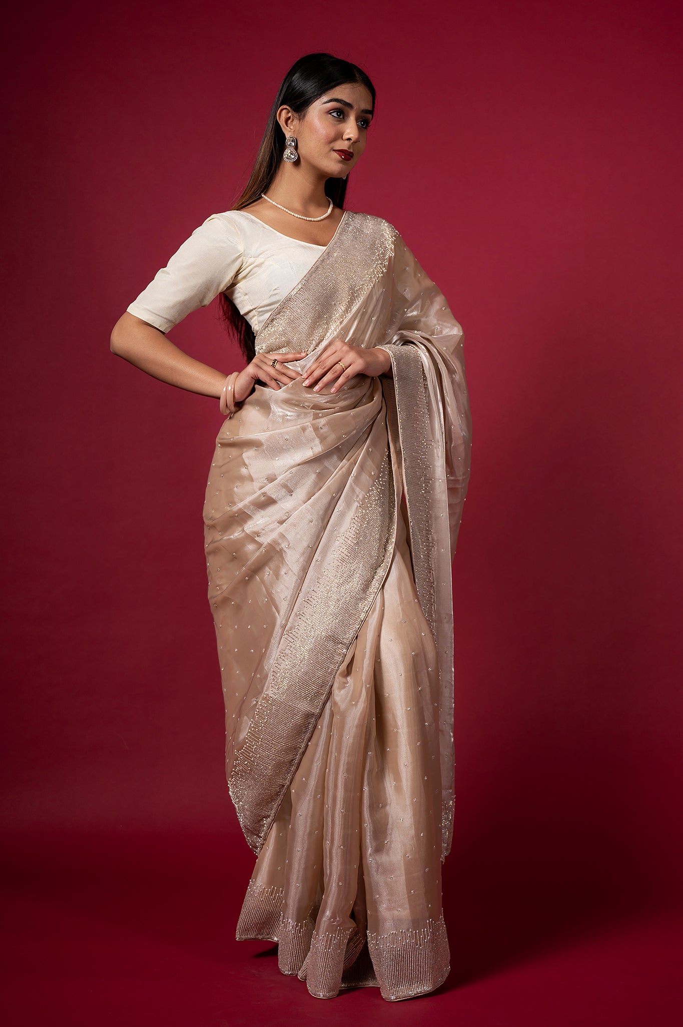 Light Chiku Jimmy Chu Kardana Pearl Border Booti Handwork Saree