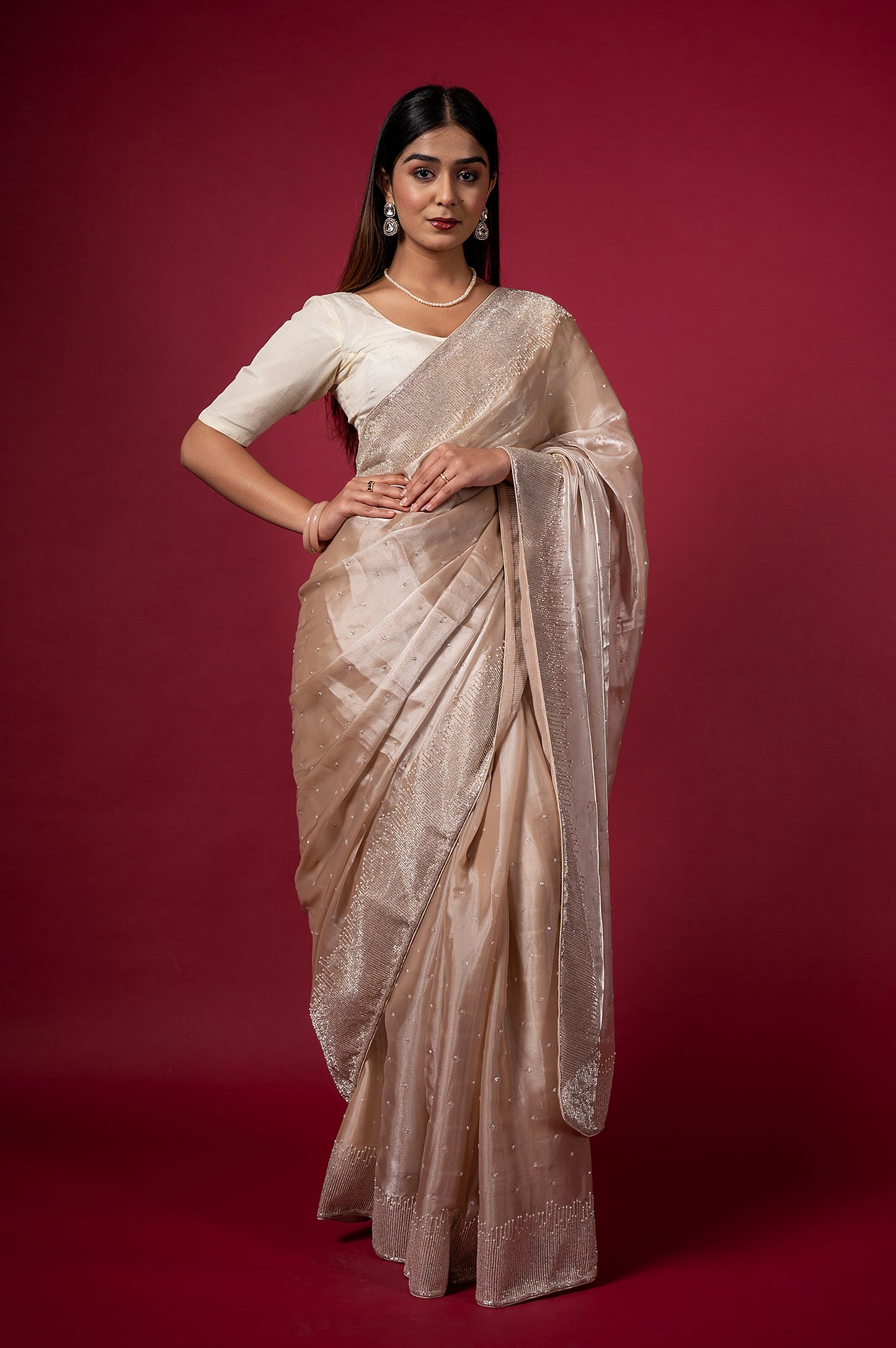 Light Chiku Jimmy Chu Kardana Pearl Border Booti Handwork Saree