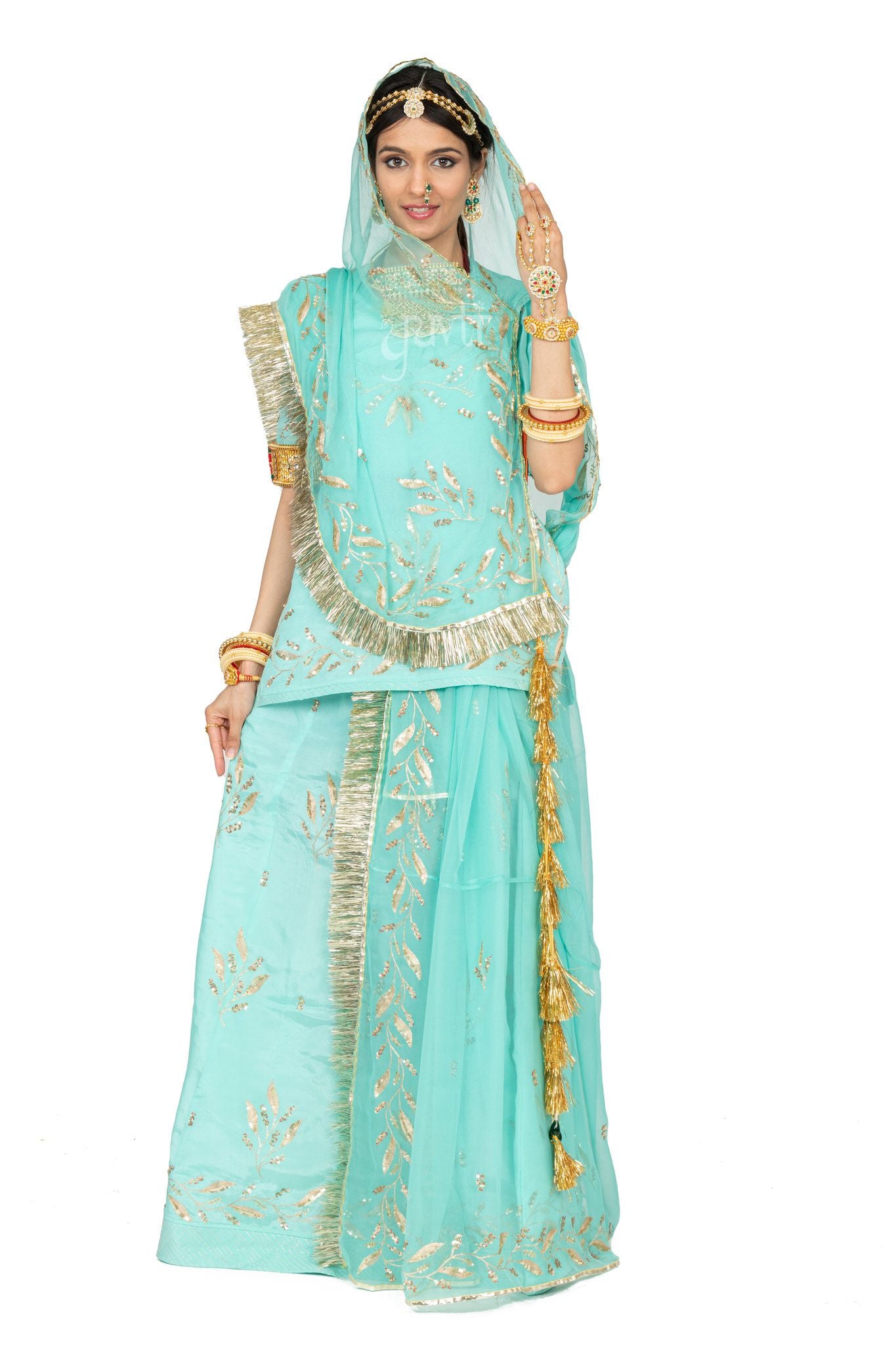 Sky blue Crepe aari sequins handwork poshak with pure odhna