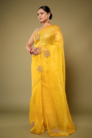 Antique  Flower Organza Saree