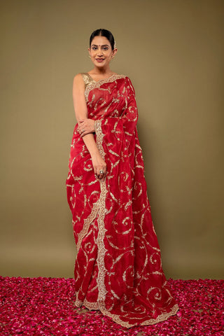 Pure Organza Zardozi Work Saree