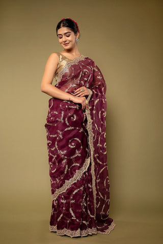 Organza Over Aari work Saree