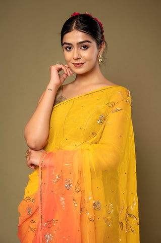 Aari Siquin Saree