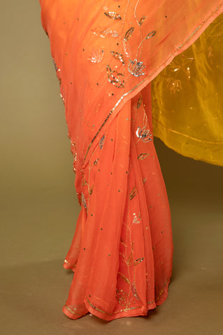 Aari Siquin Saree