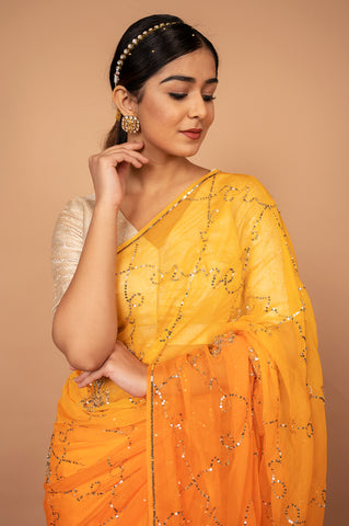 Viscose Chiffon Shaded Aari Siquin Saree