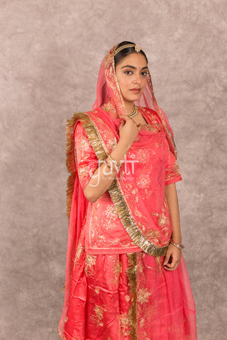 Gajri Pink Aari sequins work Poshak