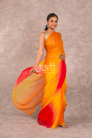 Multi colour Chiffon Saree