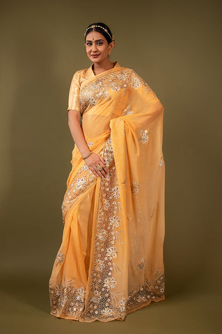 Pistachio Pure Chiffon Cutt Work Saree