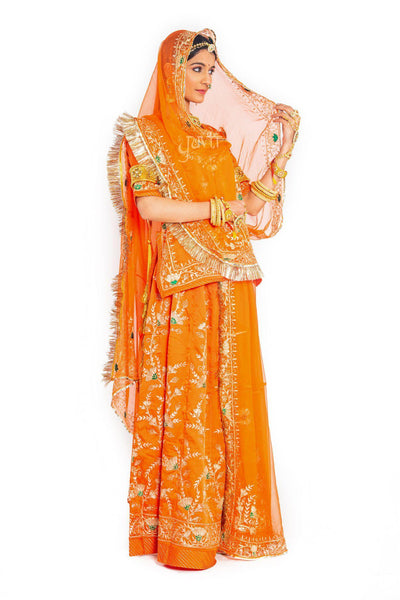 Orange Aari Resham Zardosi Poshak - Yuvti
