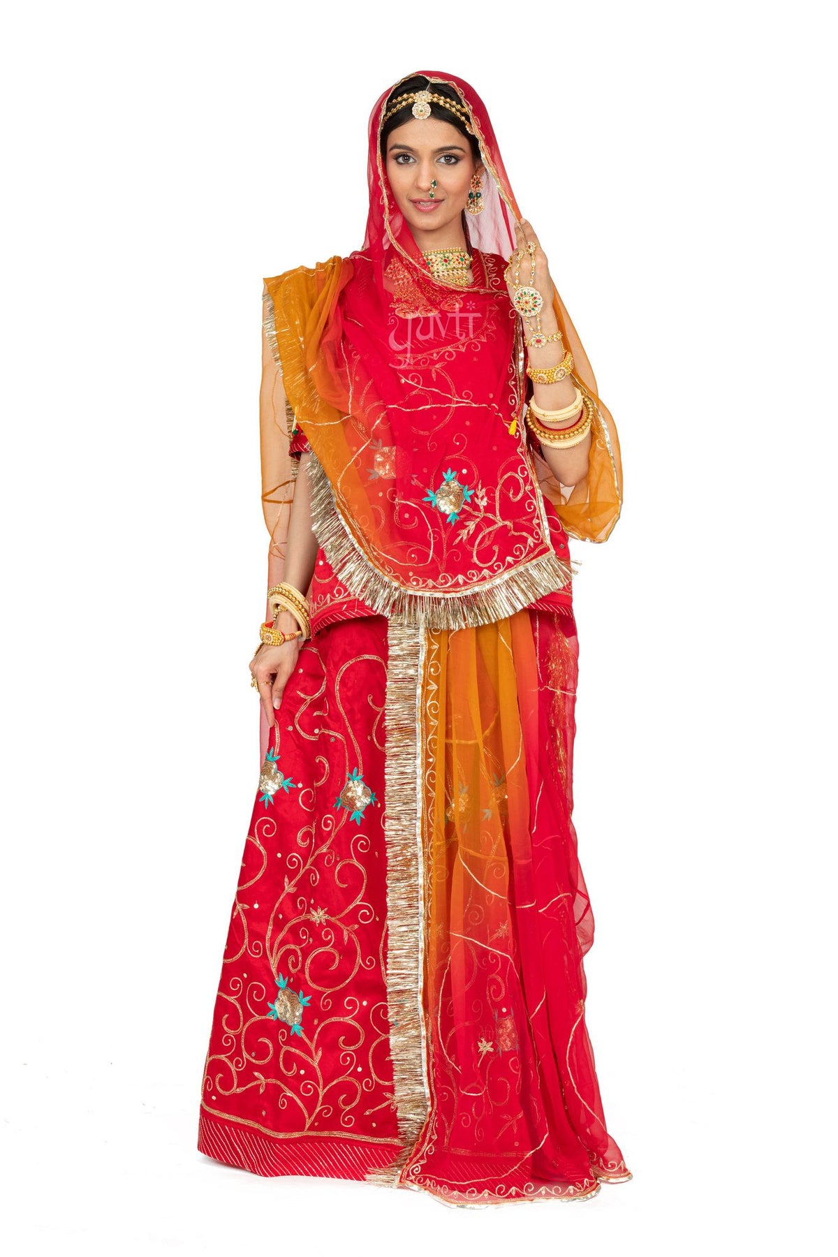 Red Aari Sequins Resham Rajputi Poshak