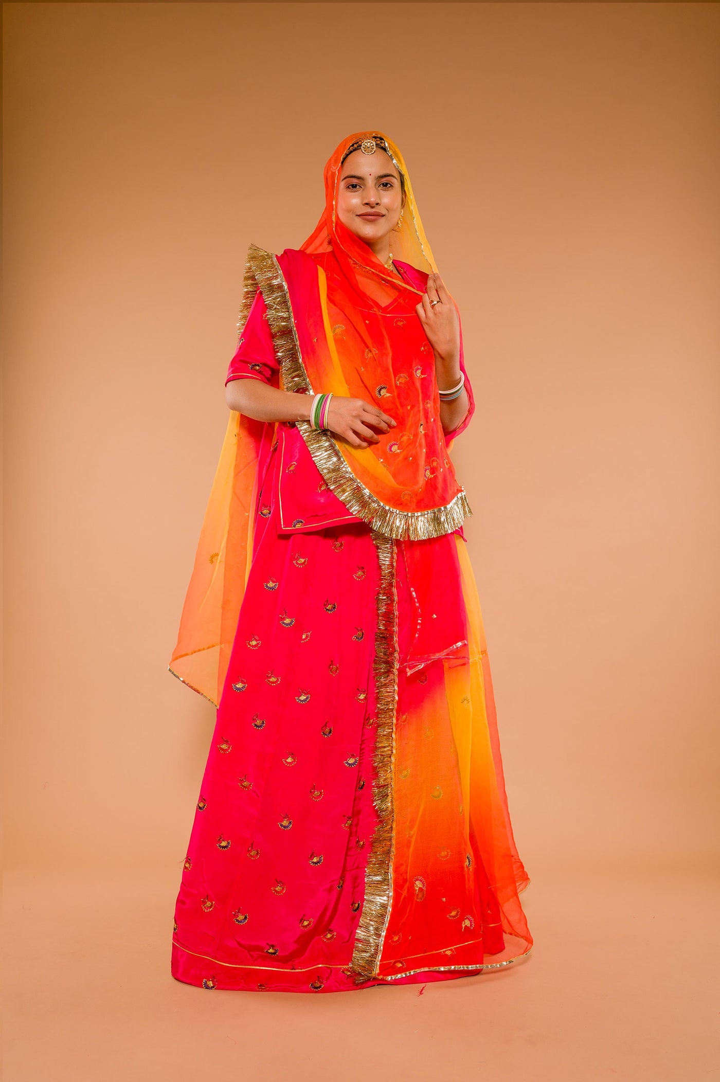 Aari Resham & Sequins Rani Suit