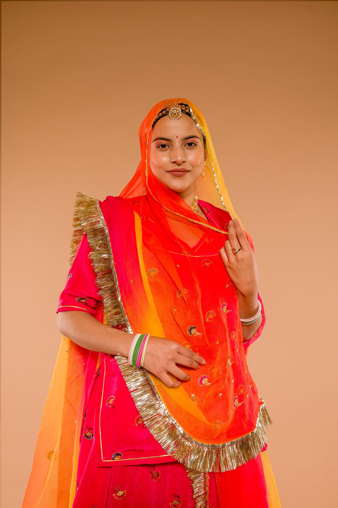 Aari Resham & Sequins Rani Suit