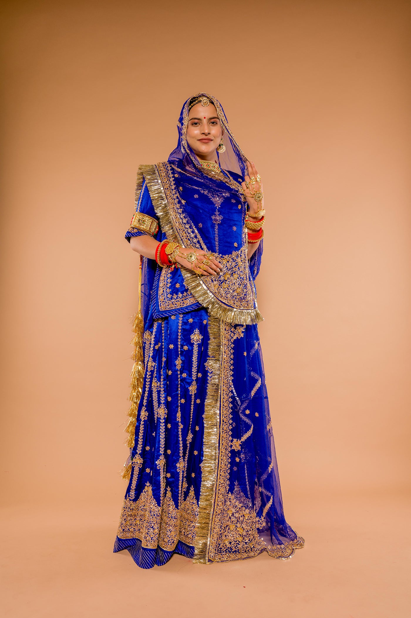 Aari Salma Sequence blue Rajputi Poshak