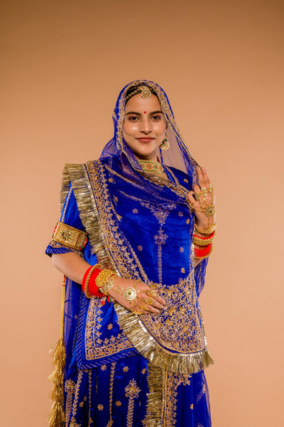 Aari Salma Sequence blue Rajputi Poshak